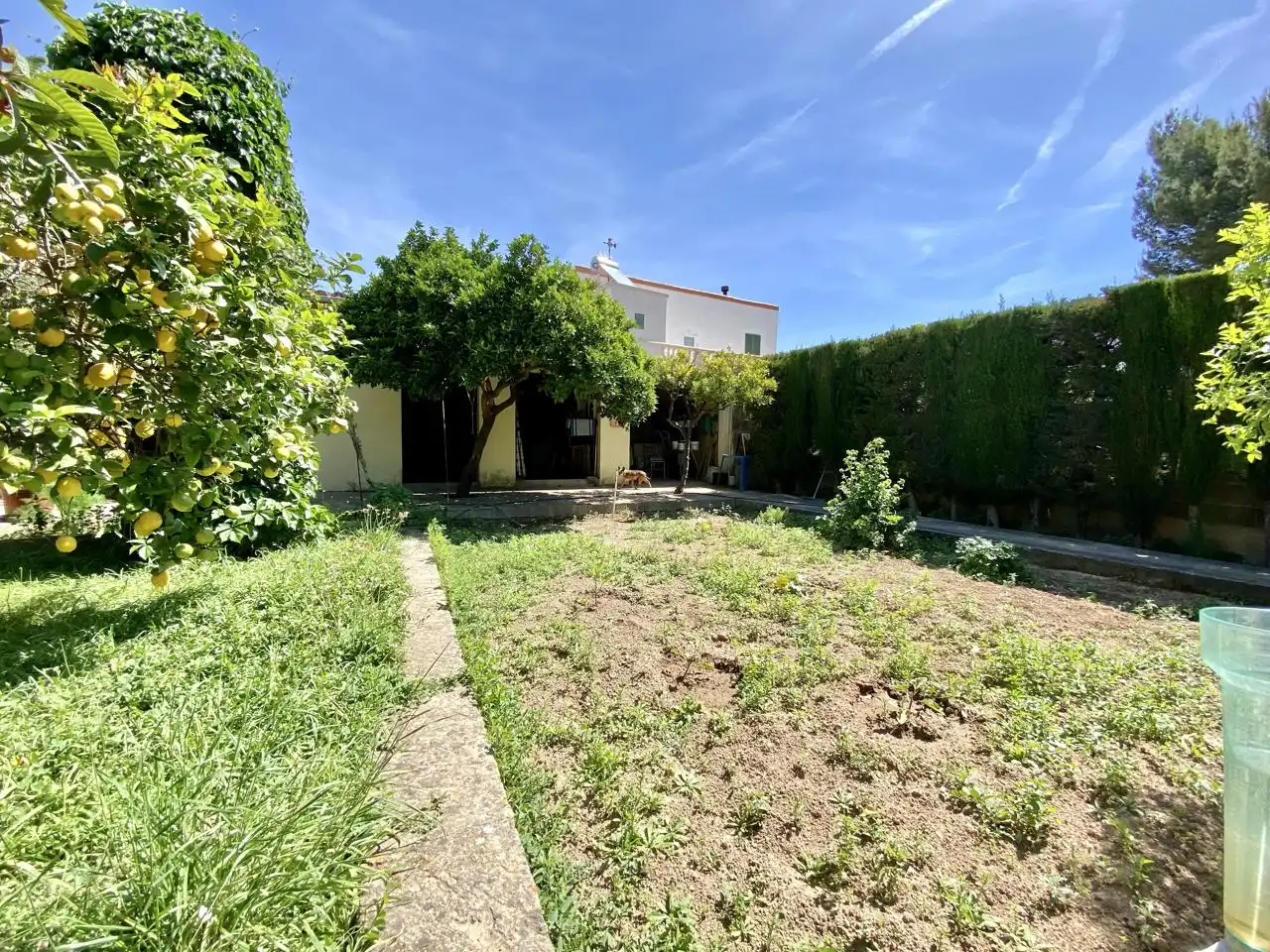 Garten von Haus oder Chalet zum Verkauf in  Palma de Mallorca mit Privatgarten, Terrasse und Abstellraum