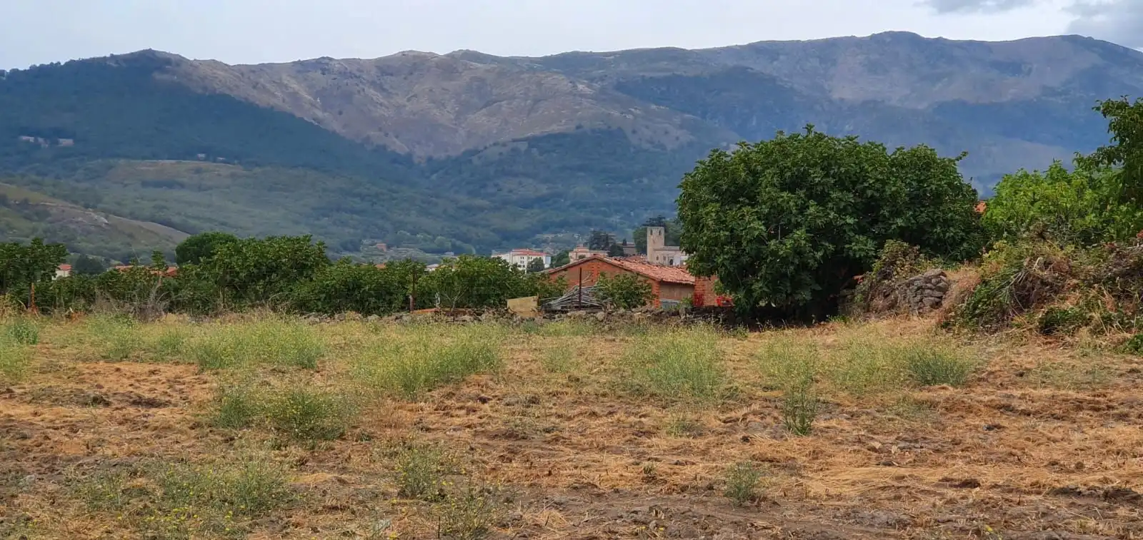 Terreni e lotti in vendita a Jarandilla de la Vera, imagen 11
