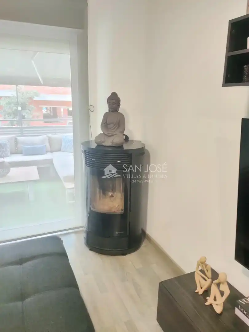 Sala d'estar de Casa o xalet en venda en Aspe amb Jardí privat, Terrassa i Traster