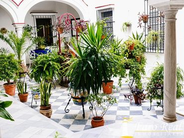Adossat en venda a Centro - Calzada - Cabo Noval
