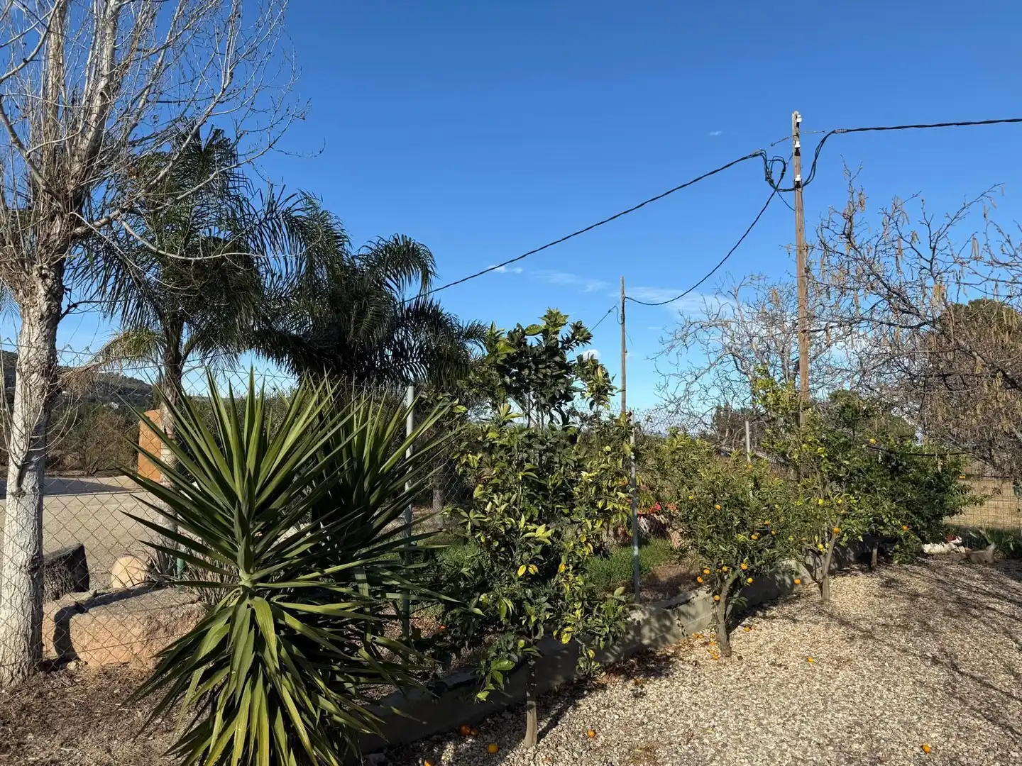 Casa rústica en venta en La Selva del Camp, imagen 28