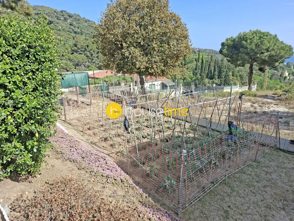 Residential land for sale in Teià, imagen 5