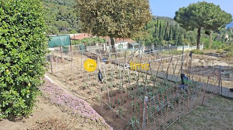 Terreno urbano con vistas mar orientado a sur, immagine 2