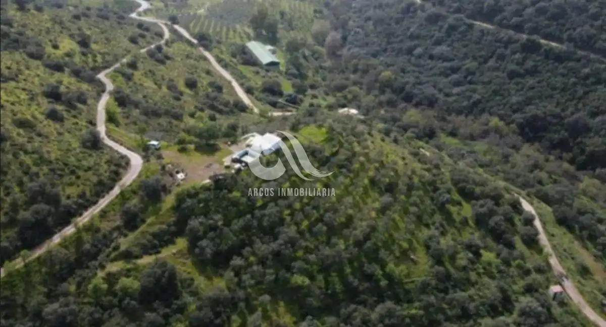 Finca rústica en venta en Alcolea
