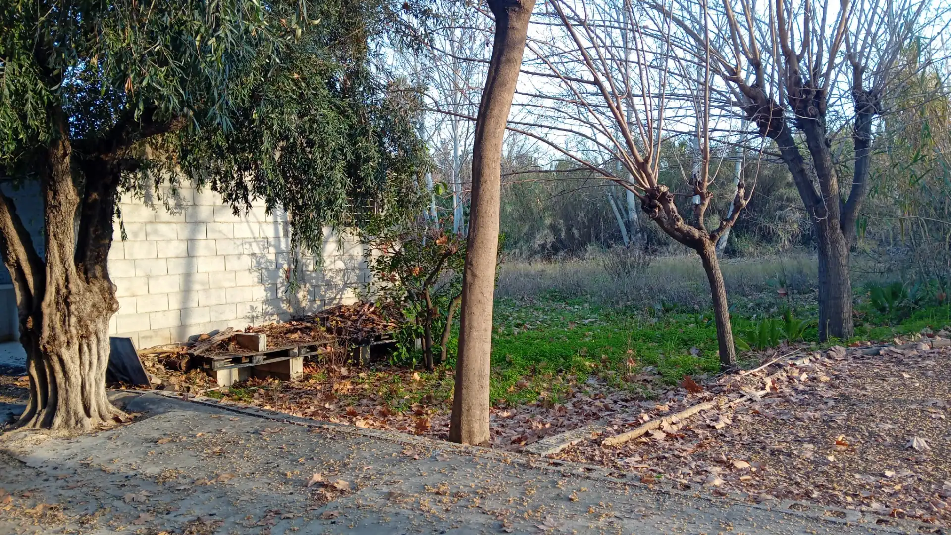 Land for sale in Era Alta