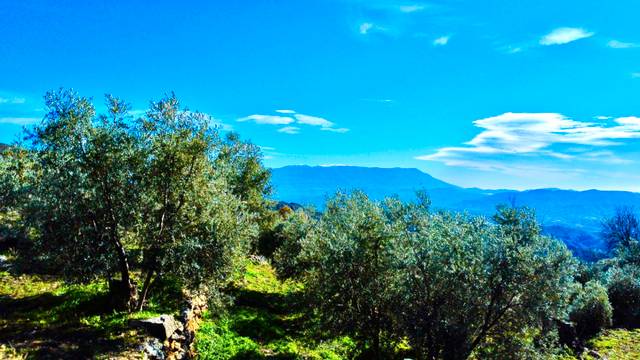 Terreno en Venta en Calle Santa Maria, 40 en Alpujarra de la Sierra