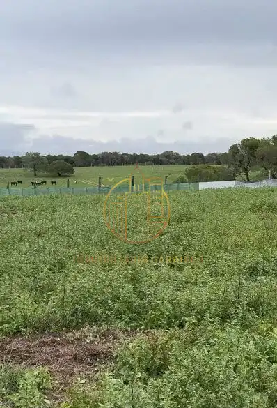 Rural land for sale in Murillo El Cuende, imagen 8