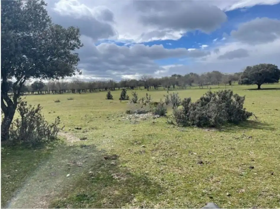 Terreno en venta en Galapagar