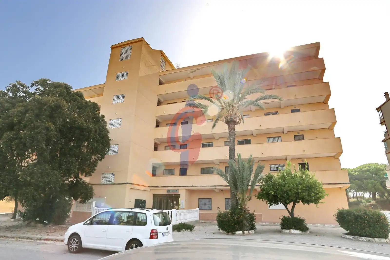 Vista exterior de Apartament en venda en Guardamar del Segura amb Moblat