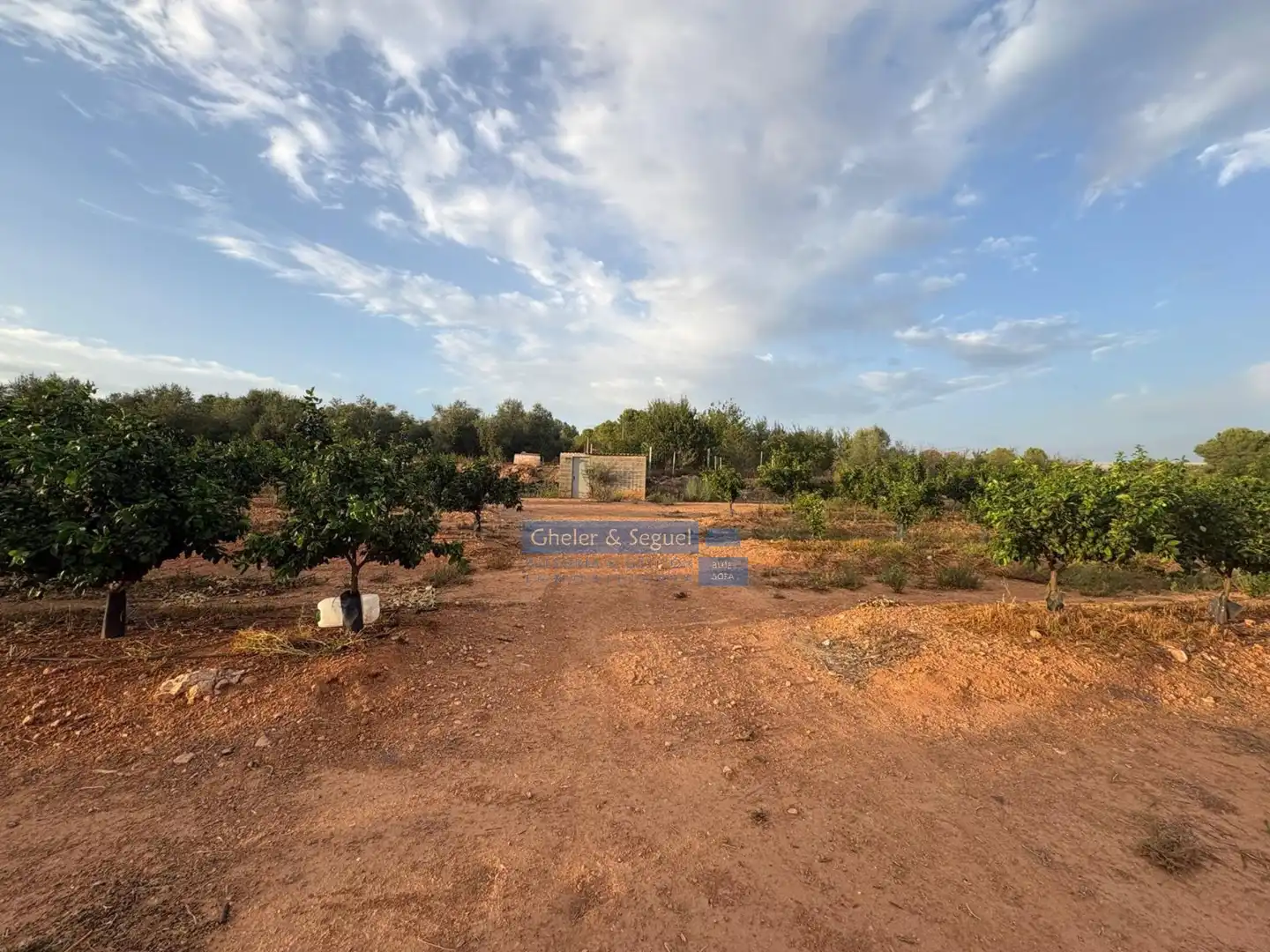 Terrenos y solares en venta en Algímia de Alfara, imagen 10