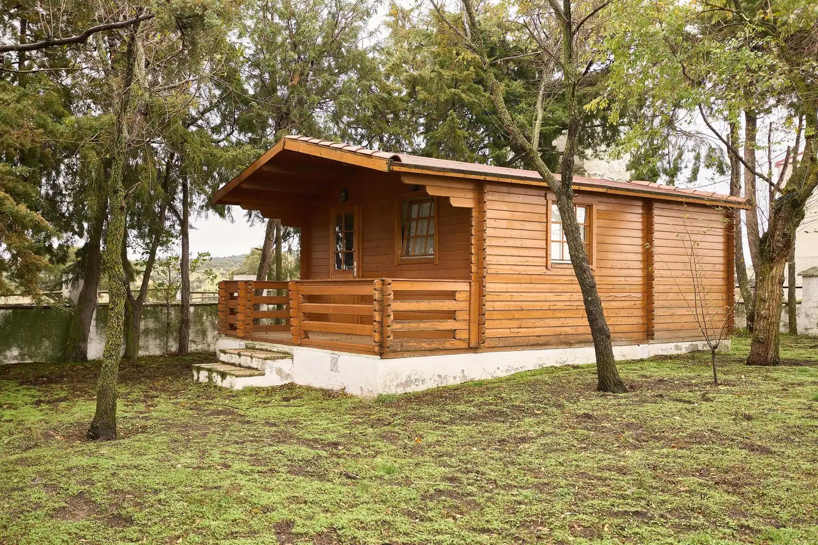 Vista exterior de Finca rústica en venta en Horcajo Medianero