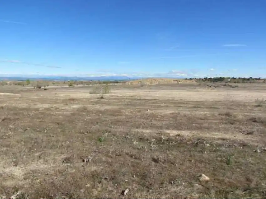 Rural land for sale in La Torre de Esteban Hambrán