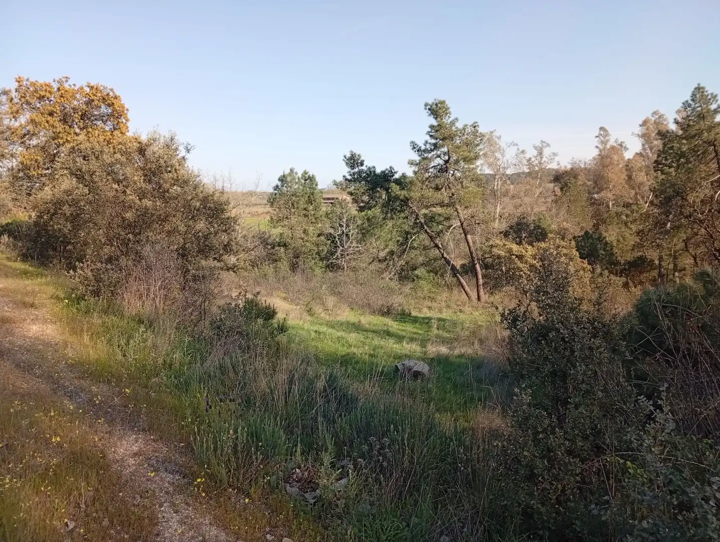 Terreni e lotti in vendita a Villanueva de la Vera, imagen 12