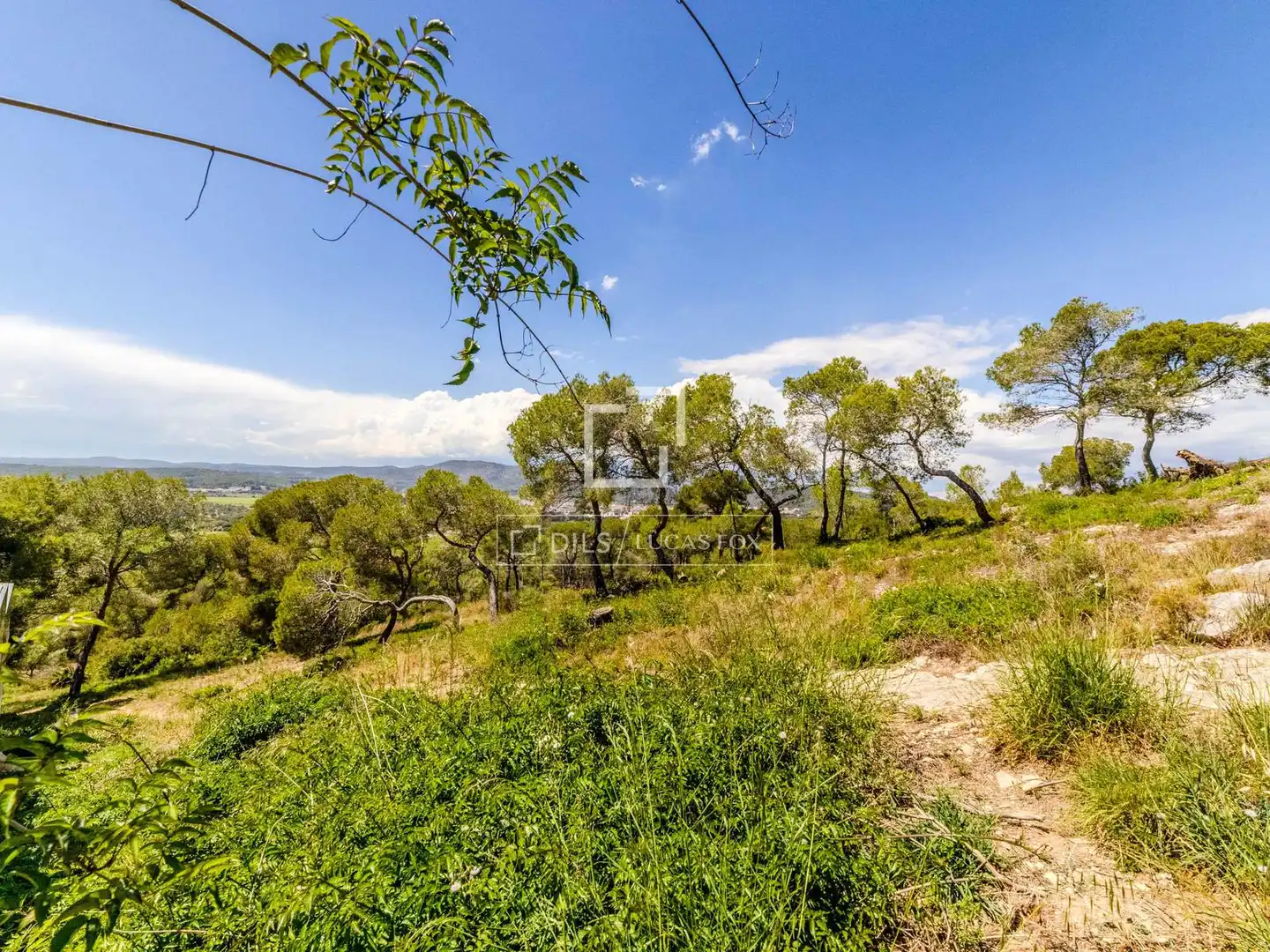 Villa avec piscine à vendre à Vallpineda - Santa Bárbara, imagen 17