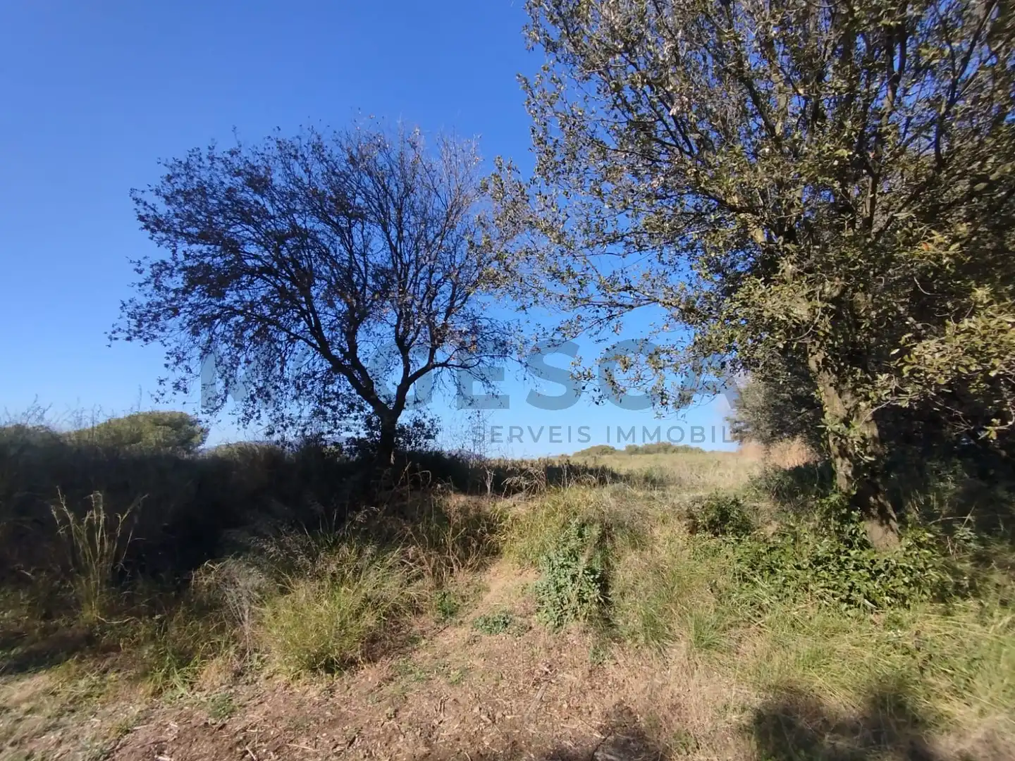 Terrenys i solars en venda a VILA DE VALL, imagen 4