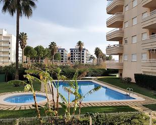 Piscina de Planta baixa en venda en Daimús amb Calefacció, Jardí privat i Terrassa