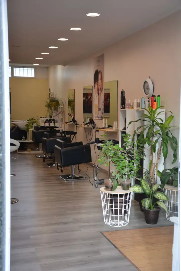 Gewerbefläche zum Verkauf in Someso - Matogrande, imagen 12