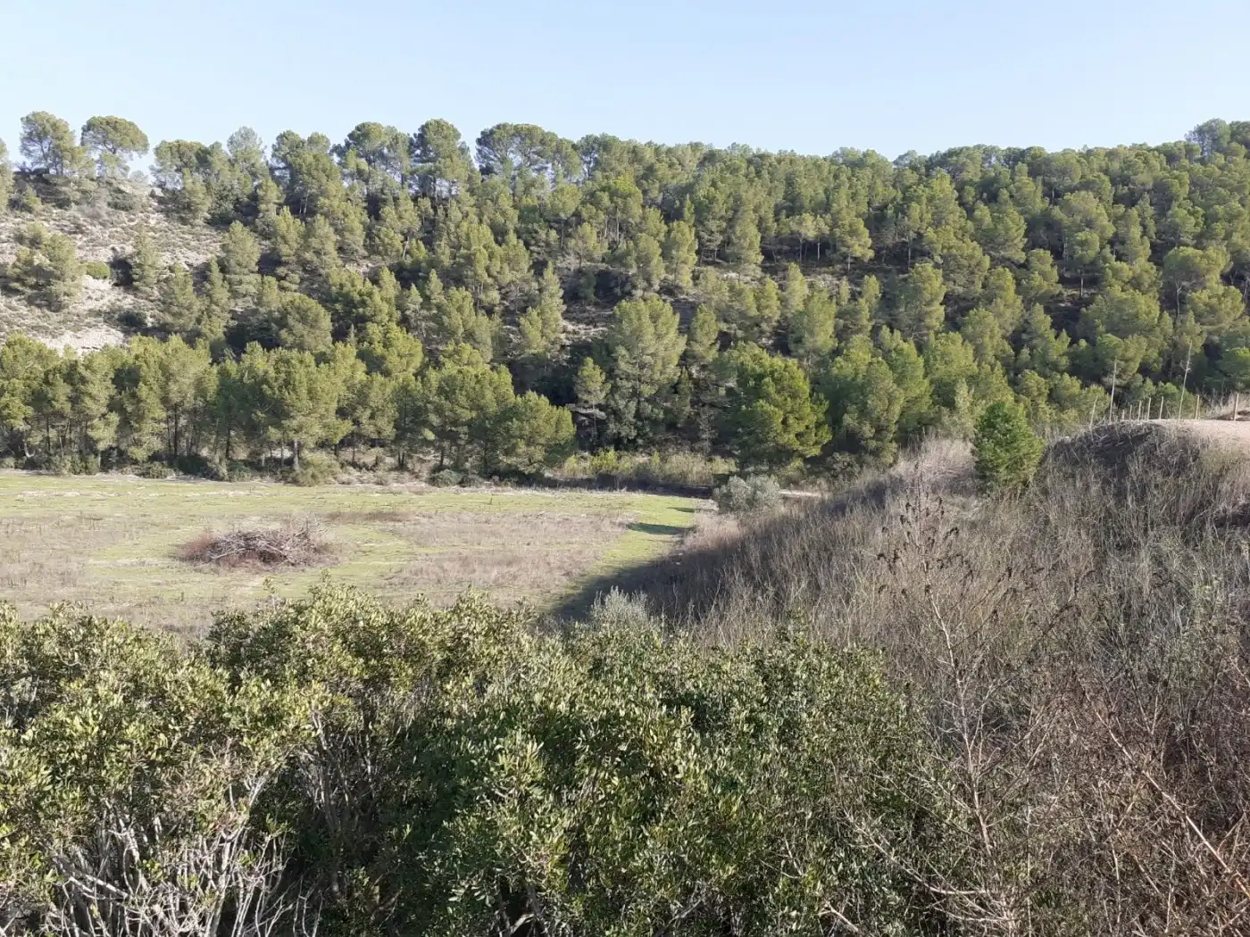 Finca rústica en venda en Ginestar