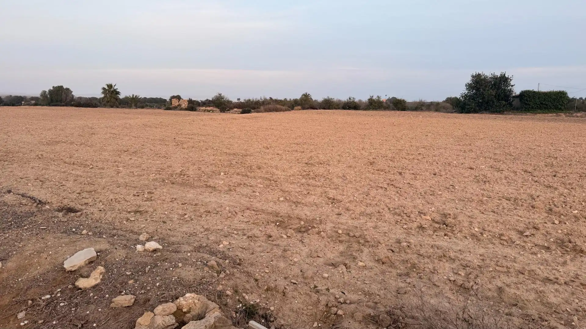 Terrain rustique à vendre à La Marina, imagen 25