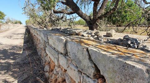 Photo 3 of Country house for sale in Santa Margalida Poble, Illes Balears