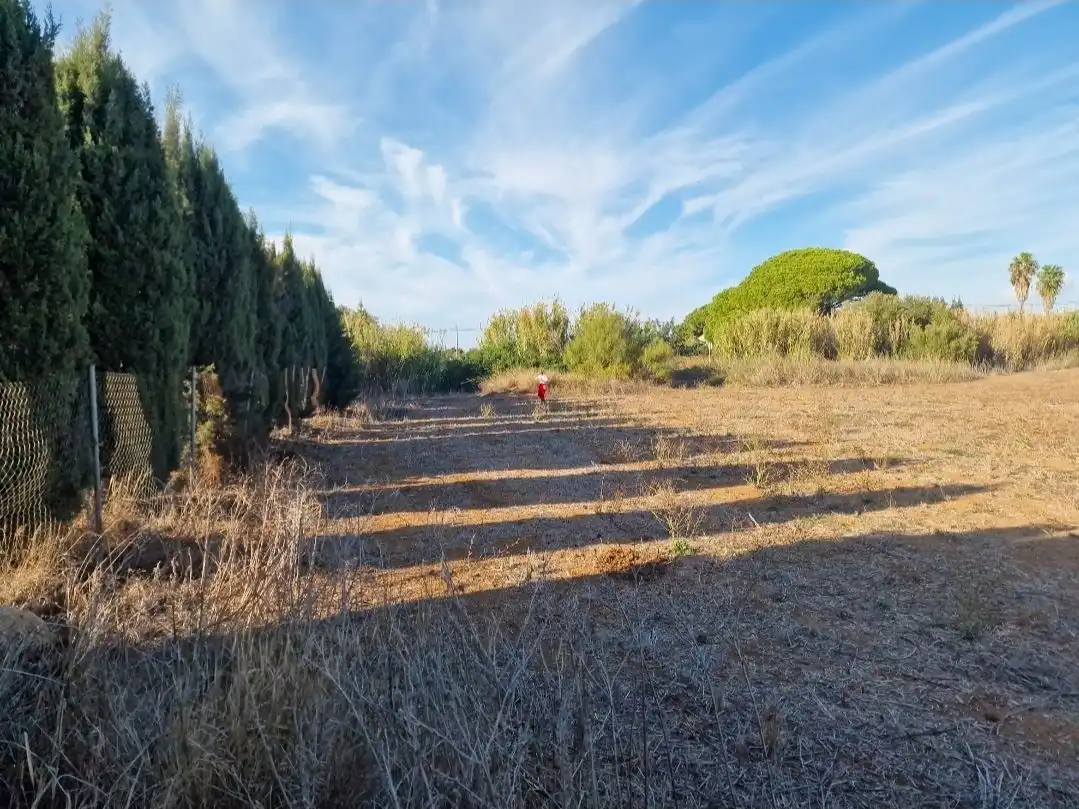 Terreno rústico en venta en Ctra.Portal -Genaro 107, imagen 6