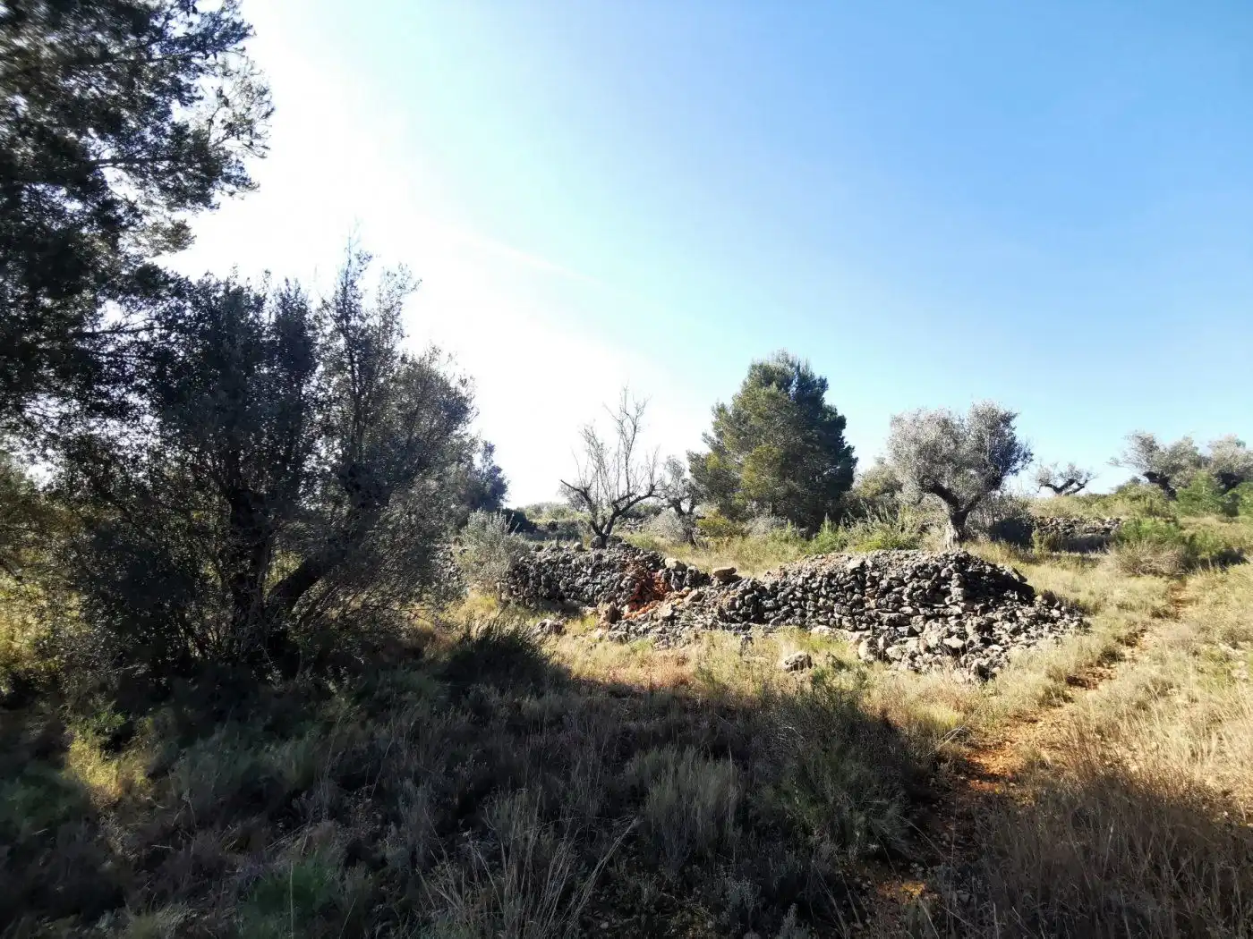 Finca rústica en venda en Chella