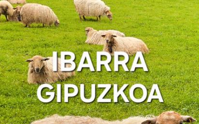 Pis en venda a Euskal-Herria Kalea, Ibarra