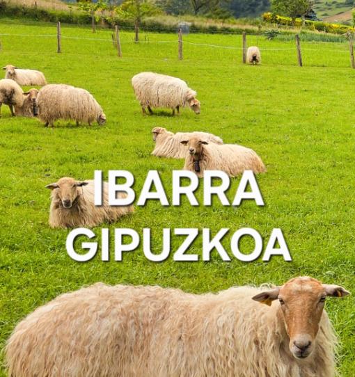 Foto 1 de Piso en venta en Euskal-herria Kalea, Ibarra, Gipuzkoa