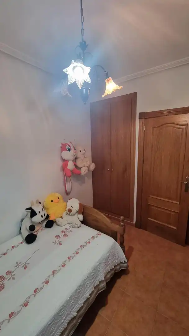 Casa in vendita a Pedanías Centro, imagen 23