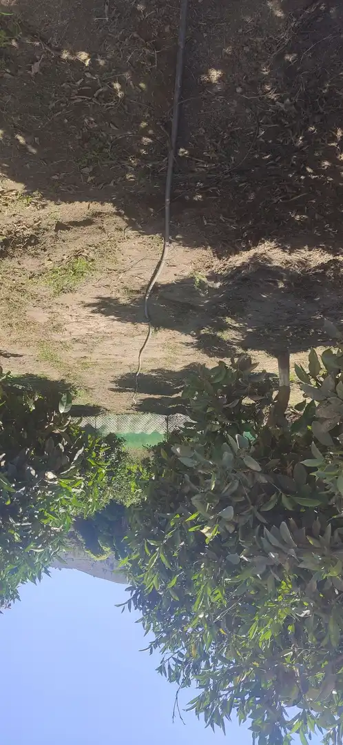 Grundstücke zur Miete in Calle Vélez de Benaudalla, Motril ciudad