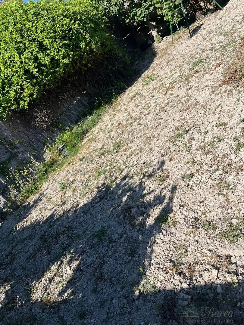 Finca rústica en venta en Rute