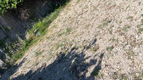 RuteFinca de Recreo, immagine 5