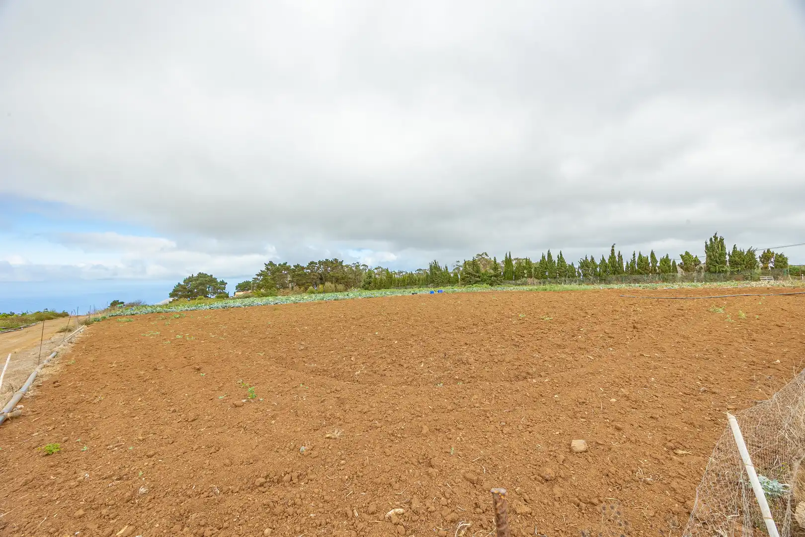 Residencial en venta en Lugar Lomo del Poleo, Saucillo - Fagajesto - Juncalillo