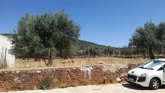 Terreni e lotti in vendita a Pol 2 Cañaveral de León - El Triscal -, imagen 7