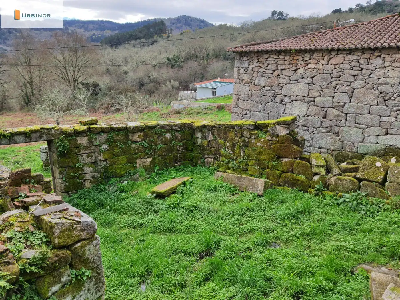 Houses for sale in San Rosendo