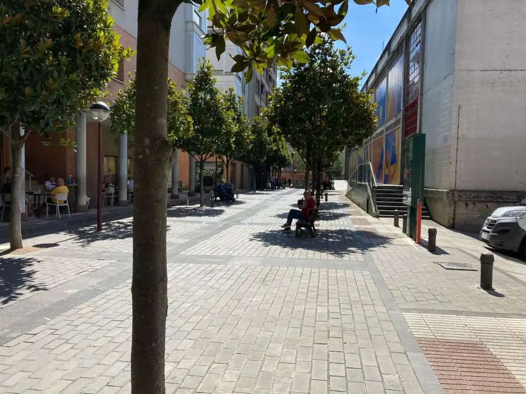 Locale commerciale in vendita a San Pelayo Kalea, imagen 25
