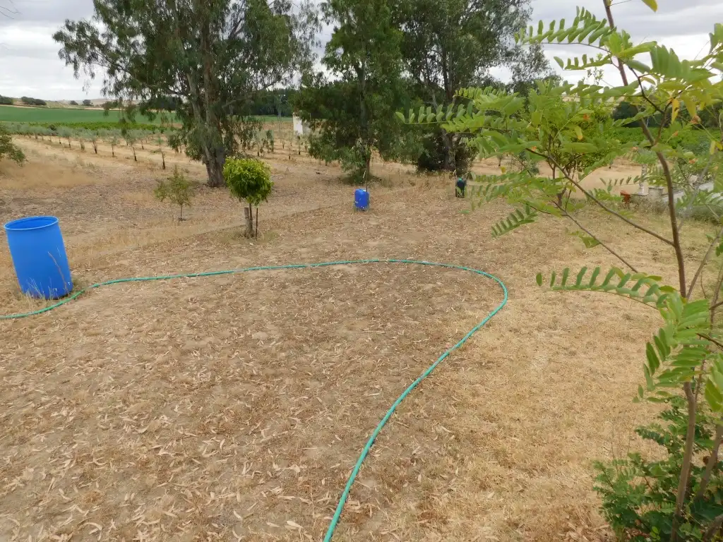 Chalet con piscina en venta en Villanueva de la Serena, imagen 4
