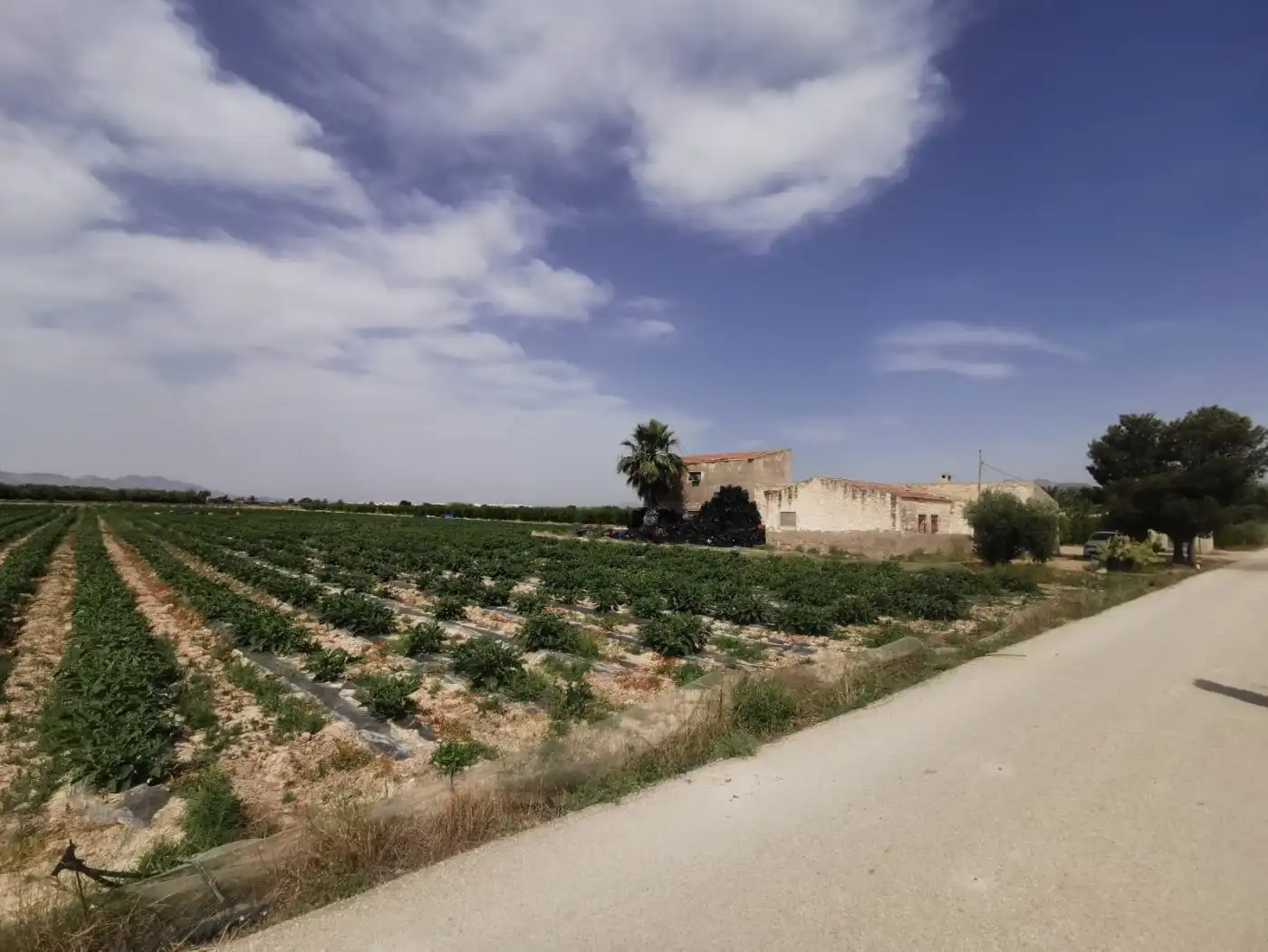 Finca rústica en venda en Albatera