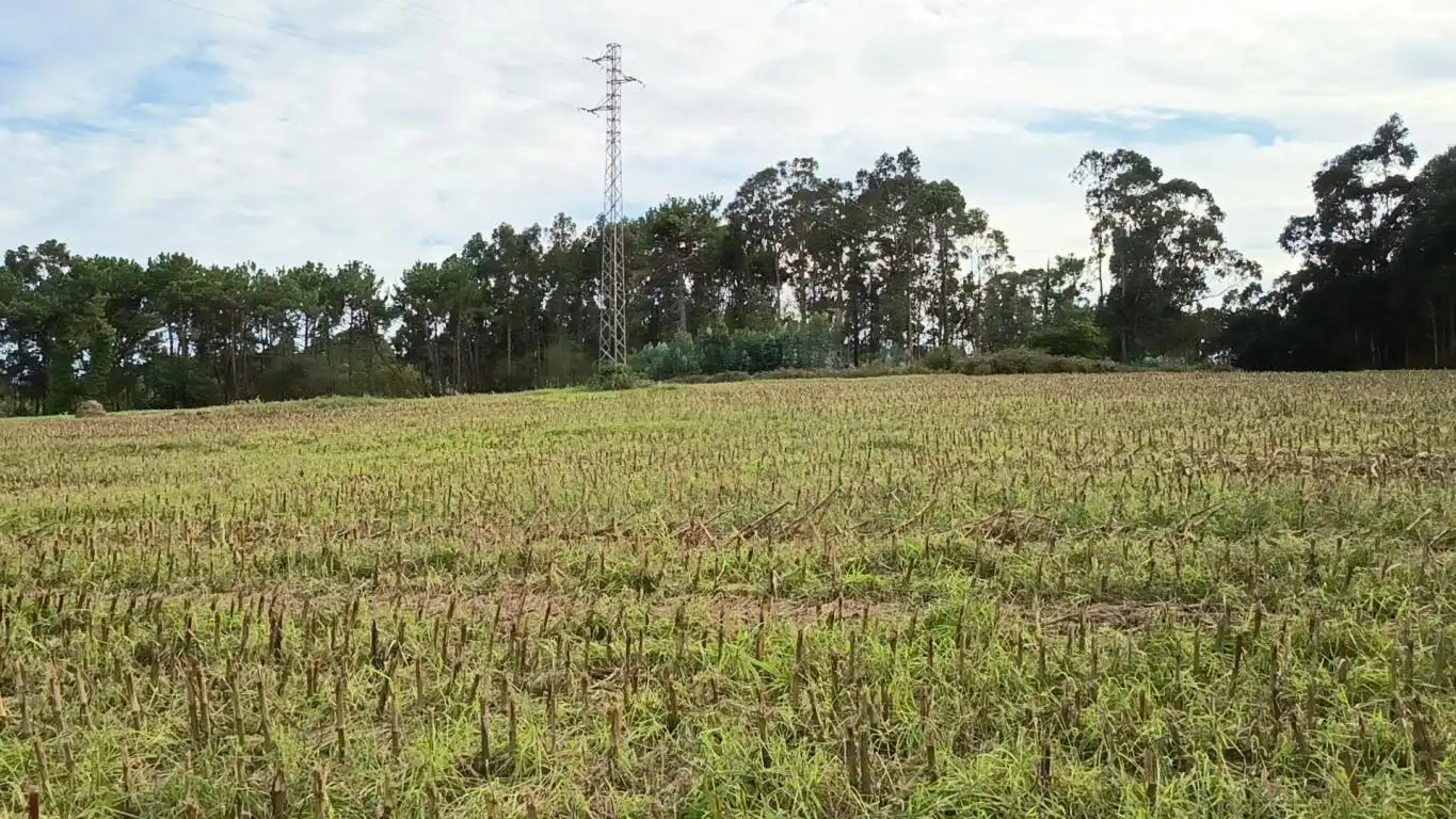 Terreno rústico en venta en Aldea Cabañas, imagen 3