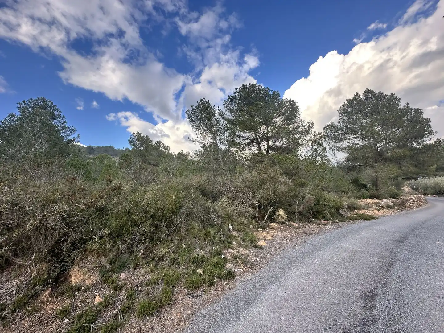 Terrenos y solares en venta en Alfara de la Baronia, imagen 4