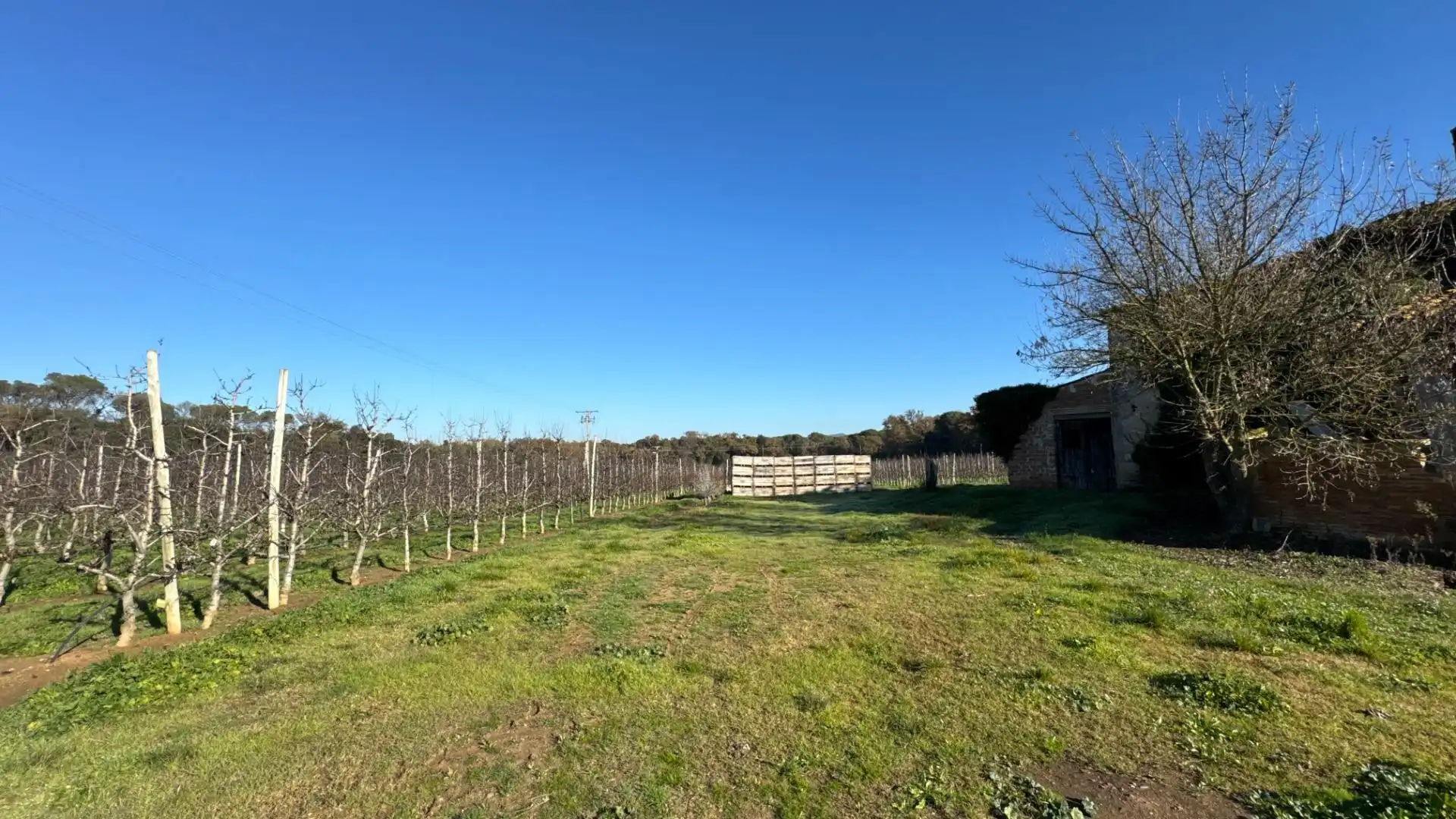 Finca rústica en venta en Campllong