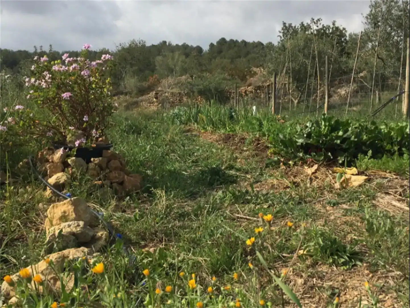 Finca rústica en venda en Salomó