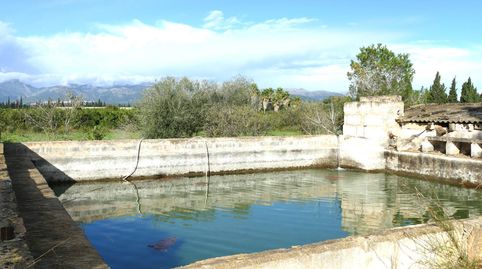 Foto 5 von Country house zum Verkauf in Llubí, Illes Balears