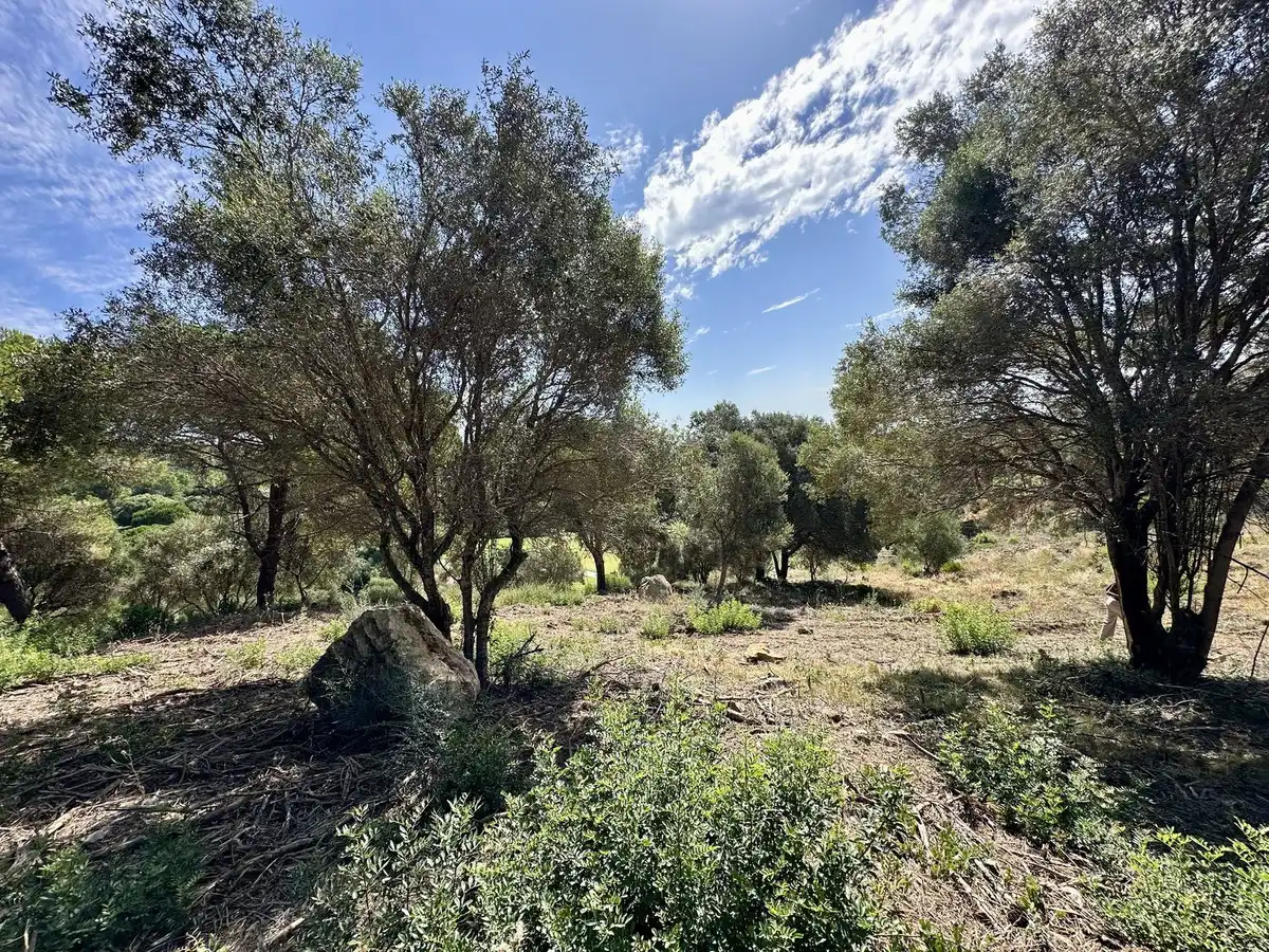 Terreni e lotti in vendita a Lugar Sotogrande 417, imagen 3