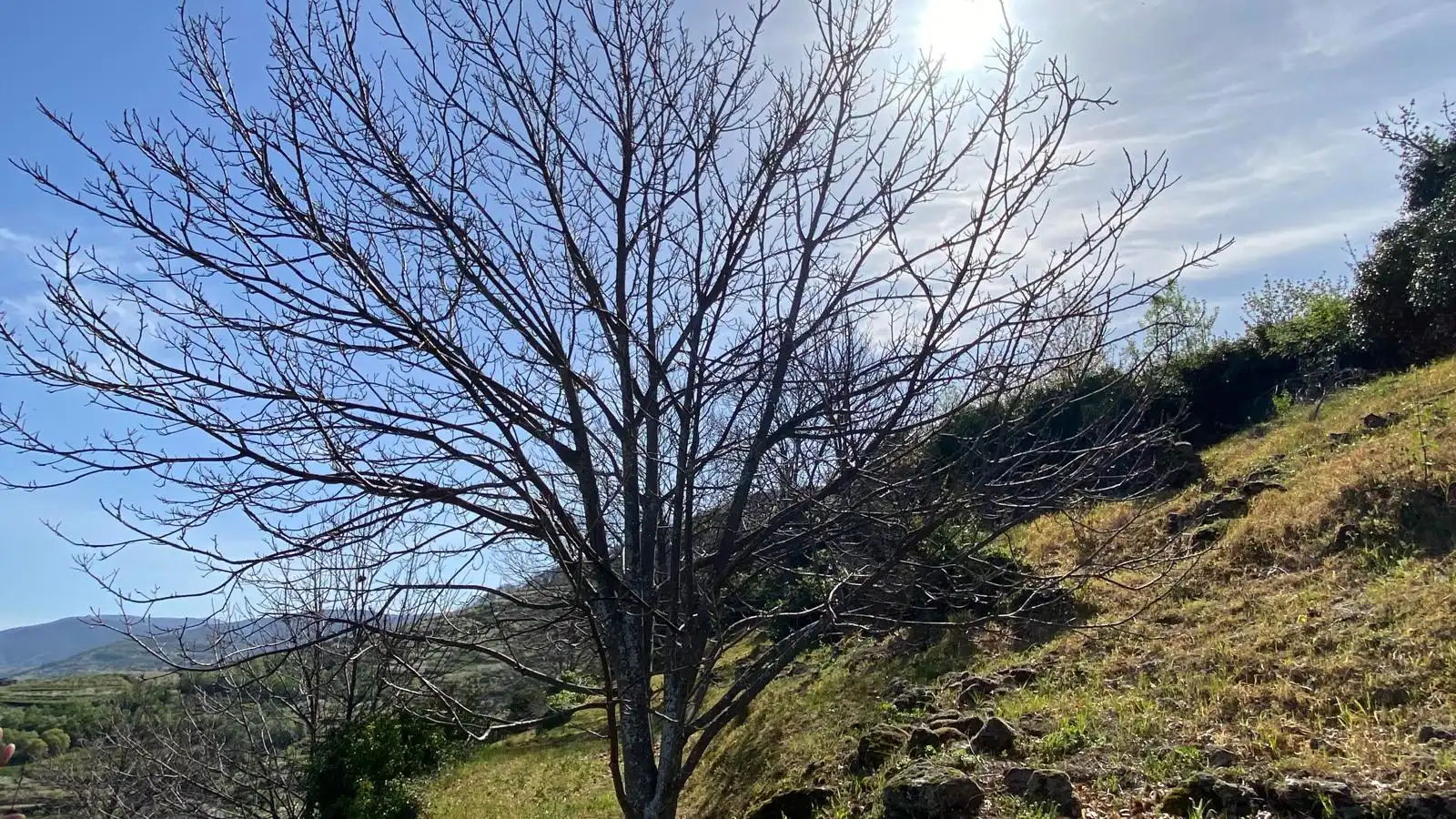 Terreni e lotti in vendita a Casas del Castañar, imagen 16