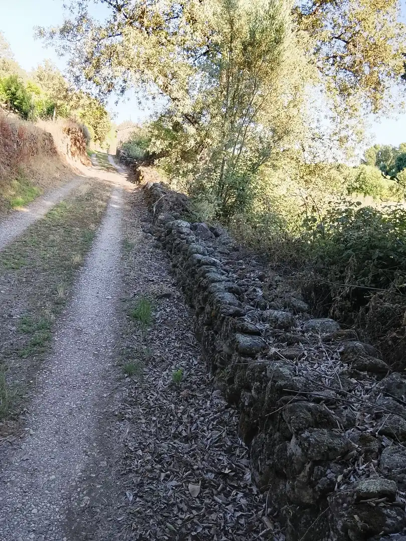 Terreni e lotti in vendita a Villanueva de la Vera, imagen 14