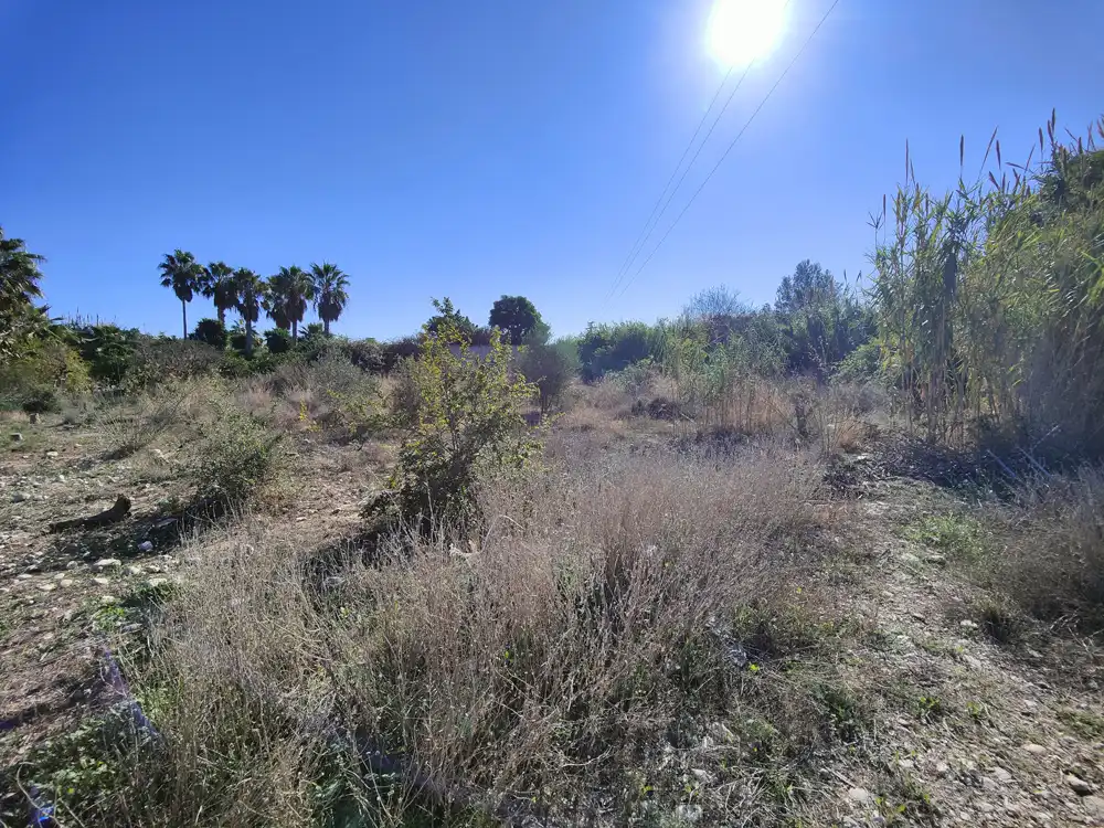 Rural land for sale in PARAJE MOSMAY Y PI DE CALSES, POL.12 , PARCELAS 37, imagen 10