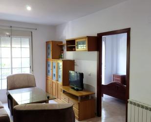 Sala d'estar de Apartament de lloguer en Don Benito amb Aire condicionat i Balcó