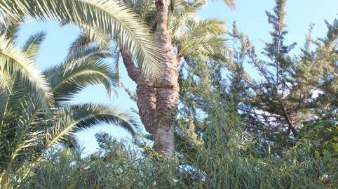 Foto 5 de Casa o xalet en venda a Valverde, Alicante