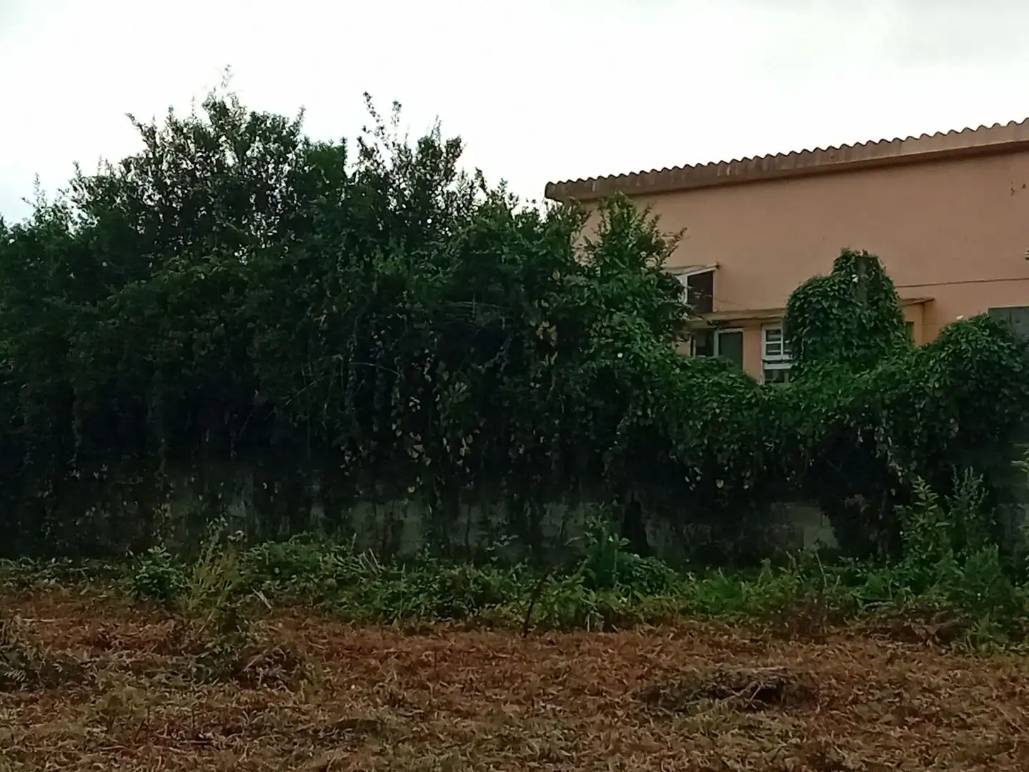 Terrain rustique à vendre à Carretera Portal-Valadares 151, imagen 7